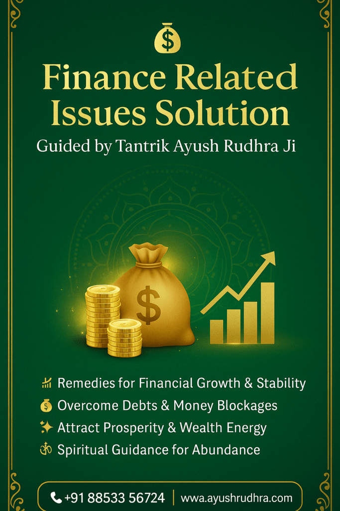 Finance/Business Related Issues Solution by Mayong Astrologer Ayush Rudhra Ji